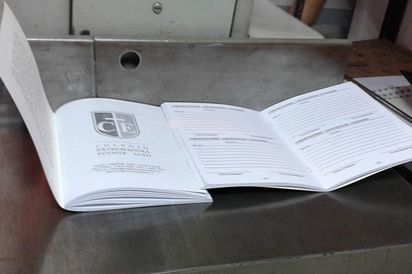 Servicios Gráficos 01